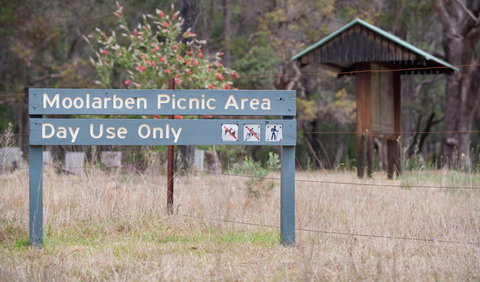 Moolarben Picnic Area - Foster Accommodation 1
