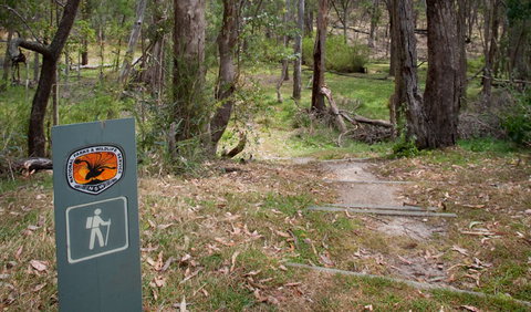 Moolarben Picnic Area - Foster Accommodation 0
