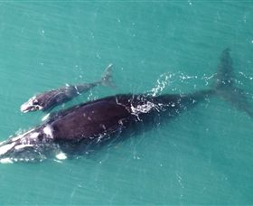 Fazshot Photography - Foster Accommodation 0