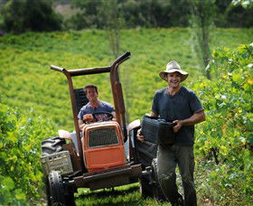 Kellybrook Winery, Kelly Brothers Cider & Riders Brew Co. - Foster Accommodation 0
