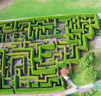 Hedgend Maze and Healesville Laser Sport - Foster Accommodation