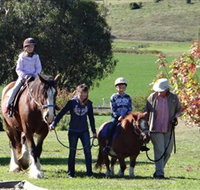 Bathurst Farm Experience - Foster Accommodation