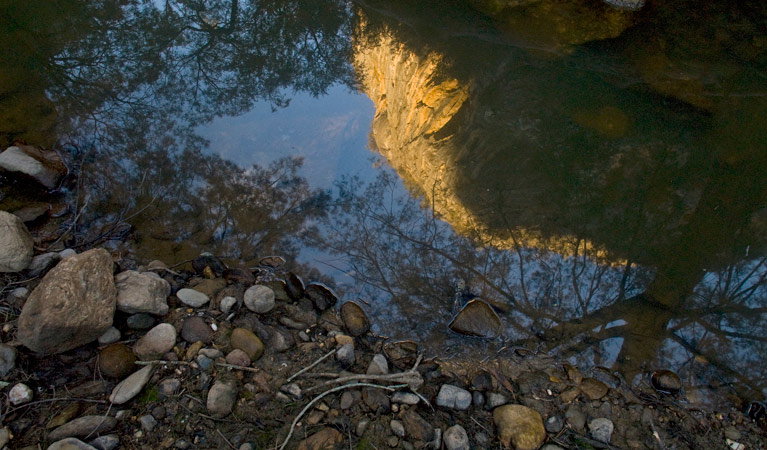 Abercrombie River NSW Foster Accommodation