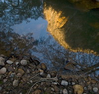 Abercrombie Karst Conservation Reserve - Foster Accommodation