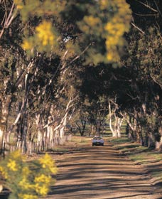 Albert Facey Heritage Trail - Foster Accommodation 0
