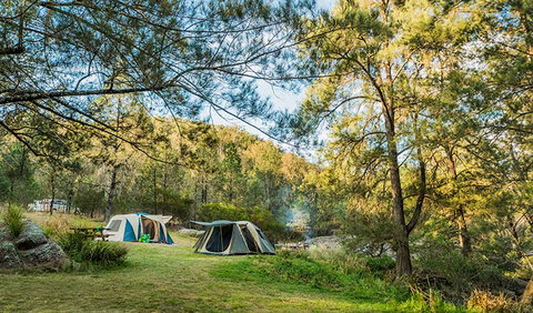 Warrabah National Park - Foster Accommodation 1
