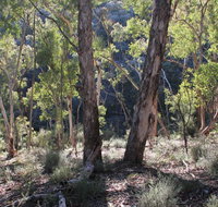 Mount Gray walking track - Foster Accommodation