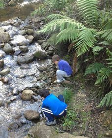 Shelley Forest Camp - Foster Accommodation 2