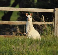 Panorama Garden Estate - Foster Accommodation