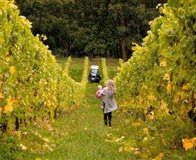 Polperro Winery - Foster Accommodation 7