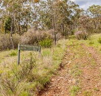 Old Mountain Road Walking Track - Foster Accommodation