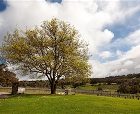 Tuck's Ridge - Foster Accommodation 2