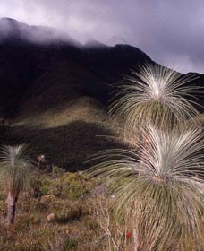 Bluff Knoll, Stirling Range National Park - Foster Accommodation 3