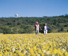 Koolanooka Springs - Foster Accommodation 0