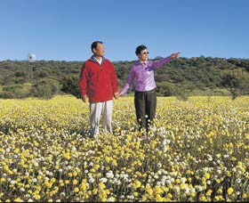 Koolanooka Springs - Foster Accommodation 1