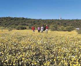 Koolanooka Springs - Foster Accommodation 2