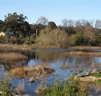 Coolart Wetlands and Homestead - Foster Accommodation