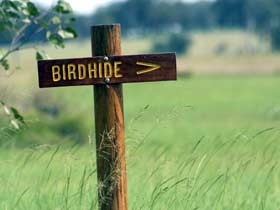 Wooroolin Wetland - Foster Accommodation 0