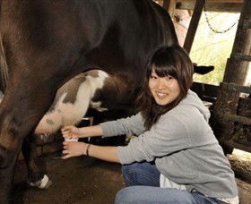 Warrook Farm - Foster Accommodation 2