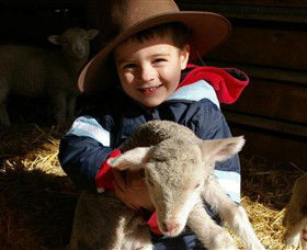 Warrook Farm - Foster Accommodation 1