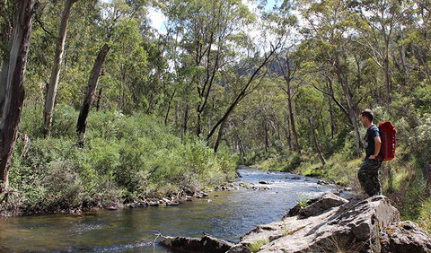 Yarrangobilly Caves - Foster Accommodation 1