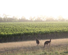  Foster Accommodation