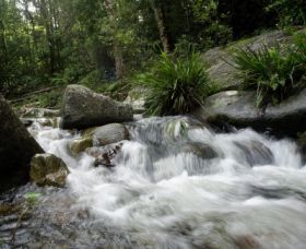 Washpool National Park - Foster Accommodation 0