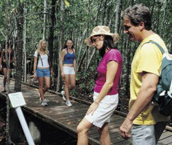 Toowoomba Water Bird Habitat - Foster Accommodation 1