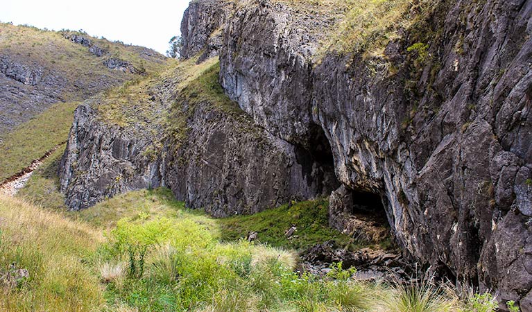 Cooleman ACT Foster Accommodation