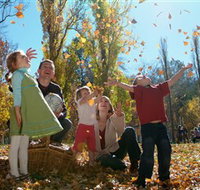 Cotter Avenue recreation area - Foster Accommodation