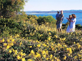 Seventeen Seventy QLD Foster Accommodation