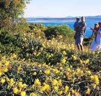 Joseph Banks Conservation Park - Foster Accommodation