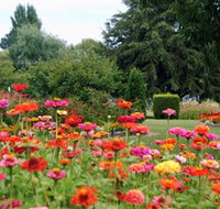 Alma Park - Foster Accommodation