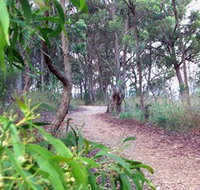 Mount Mutton Walking Trail - Foster Accommodation
