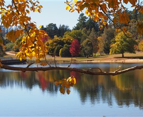 Ross Garden Tours - Foster Accommodation 0