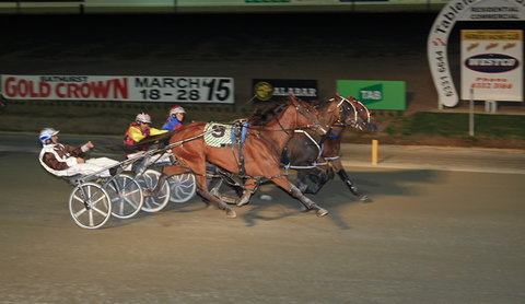 Bathurst Harness Racing Club - Foster Accommodation 3