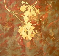 Fellia Melas Gallery - Foster Accommodation