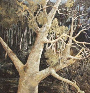 Kearns NSW Foster Accommodation