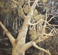 Ku-Ring-Gai Art Centre  Gallery - Foster Accommodation