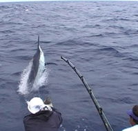 Amokura Charters - Foster Accommodation