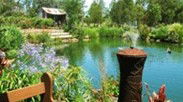 Gone Walkabout Safaris - Foster Accommodation 0