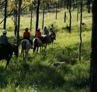 Hunter Valley Horse Riding and Adventures - Foster Accommodation