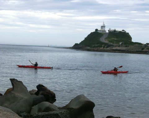 Newcastle Kayak Tours - Foster Accommodation 0