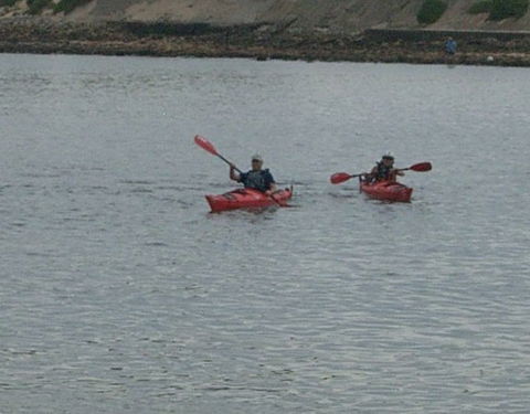 Newcastle Kayak Tours - Foster Accommodation 4
