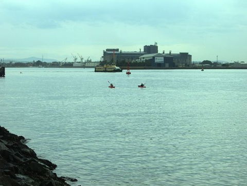 Newcastle Kayak Tours - Foster Accommodation 5