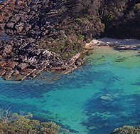 Sydney Weekend Adventures - Foster Accommodation