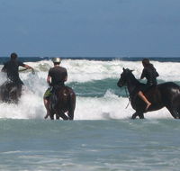 Pegasus Park Equestrian Centre - Foster Accommodation