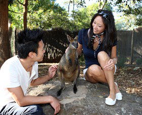 VIP Aussie Gold - Foster Accommodation 0