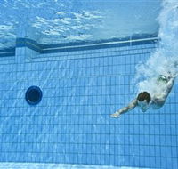 Dive Into History at Sydney Olympic Park Aquatic Centre - Foster Accommodation
