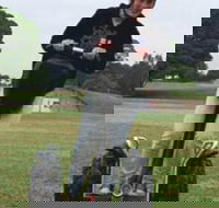 Segway Tours Australia - Foster Accommodation